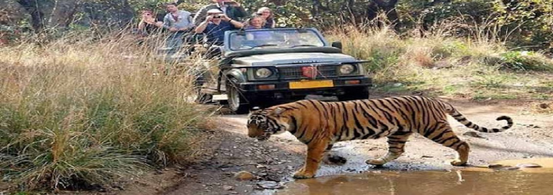 Ranthambore National Park